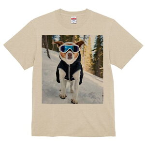 WbNbZeA TVc fB[X t@  t  vg JWA 킢 lԗp h ̃fUC ʔ XL[EFA WbNbZeA XL[