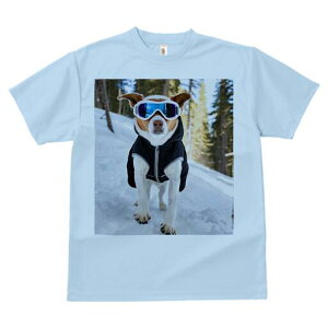 WbNbZeA TVc Y LbY t@  t  vg JWA 킢 lԗp h ̃fUC ʔ XL[EFA WbNbZeA XL