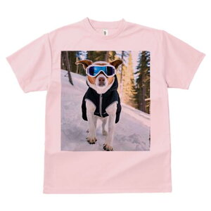 WbNbZeA TVc fB[X t@  t  vg JWA 킢 lԗp h ̃fUC ʔ XL[EFA WbNbZeA XL[