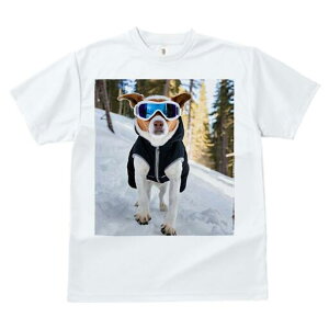 WbNbZeA TVc fB[X t@  t  vg JWA 킢 lԗp h ̃fUC ʔ XL[EFA WbNbZeA XL[