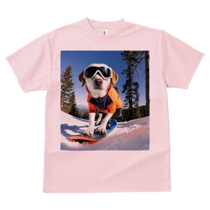 ~bNX TVc fB[X t@  t  vg JWA 킢 lԗp h ̃fUC ʔ Xm[{[h ~bNX R XL[EFA S[O