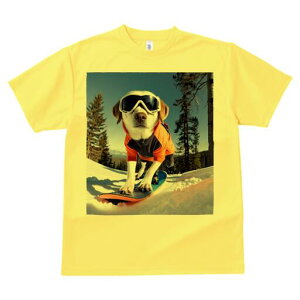 ~bNX TVc fB[X t@  t  vg JWA 킢 lԗp h ̃fUC ʔ Xm[{[h ~bNX R XL[EFA S[O