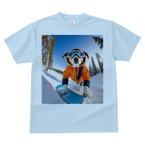 ~bNX TVc fB[X t@  t  vg JWA 킢 lԗp h ̃fUC ʔ Xm[{[h ~bNX R XL[EFA S[O