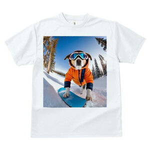 ~bNX TVc fB[X t@  t  vg JWA 킢 lԗp h ̃fUC ʔ Xm[{[h ~bNX R XL[EFA S[O