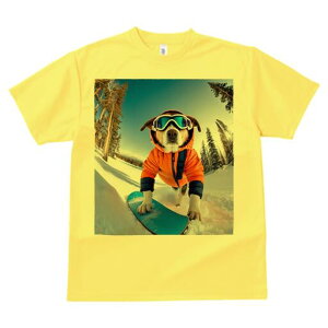 ~bNX TVc fB[X t@  t  vg JWA 킢 lԗp h ̃fUC ʔ Xm[{[h ~bNX R XL[EFA S[O