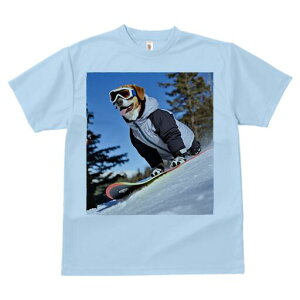 r[O TVc fB[X t@  t  vg JWA 킢 lԗp h ̃fUC ʔ Xm[{[h r[O XL[EFA S[O R