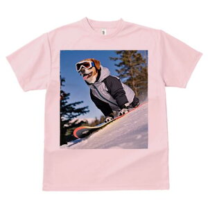 r[O TVc fB[X t@  t  vg JWA 킢 lԗp h ̃fUC ʔ Xm[{[h r[O XL[EFA S[O R