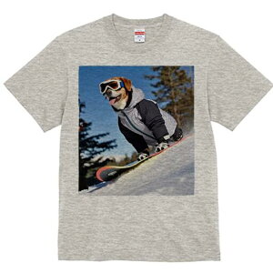 r[O TVc Y LbY t@  t  vg JWA 킢 lԗp h ̃fUC ʔ Xm[{[h r[O XL[EFA S[O R