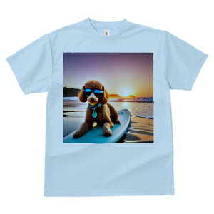 v[h TVc fB[X t@  t  vg JWA 킢 lԗp h ̃fUC ʔ TOX v[h T[t{[h C [Ă