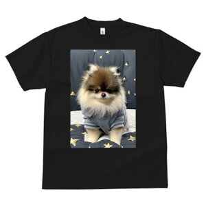 |jA TVc fB[X t@  t  vg JWA 킢 lԗp h ̃fUC ʔ  |jA  Z[^[ 