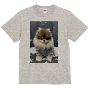 |jA TVc fB[X t@  t  vg JWA 킢 lԗp h ̃fUC ʔ  |jA  Z[^[ 