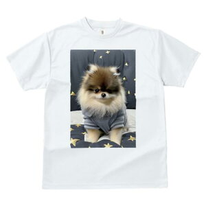 |jA TVc fB[X t@  t  vg JWA 킢 lԗp h ̃fUC ʔ  |jA  Z[^[ 