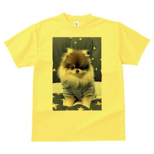 |jA TVc fB[X t@  t  vg JWA 킢 lԗp h ̃fUC ʔ  |jA  Z[^[ 