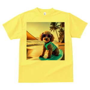 gCv[h TVc fB[X t@  t  vg JWA 킢 lԗp h ̃fUC ʔ TOX gCv[h r[` T[t{[h V̖