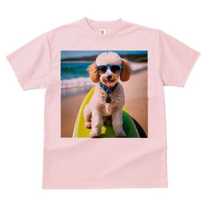 gCv[h TVc fB[X t@  t  vg JWA 킢 lԗp h ̃fUC ʔ TOX gCv[h C r[` T[t{[h