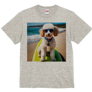 gCv[h TVc fB[X t@  t  vg JWA 킢 lԗp h ̃fUC ʔ TOX gCv[h C r[` T[t{[h