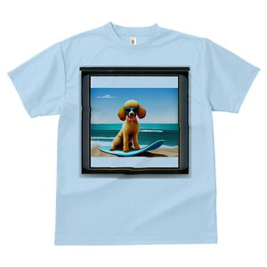 v[h TVc fB[X t@  t  vg JWA 킢 lԗp h ̃fUC ʔ TOX v[h T[t{[h C r[`