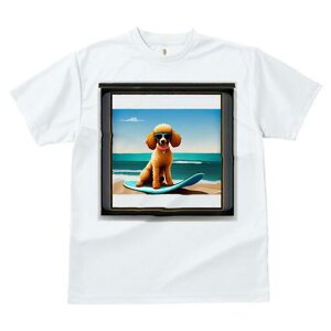 v[h TVc fB[X t@  t  vg JWA 킢 lԗp h ̃fUC ʔ TOX v[h T[t{[h C r[`