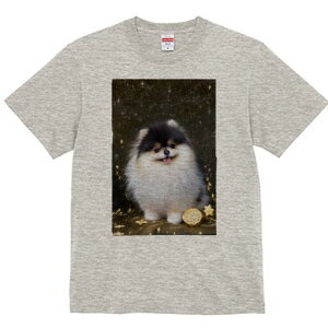 |jA TVc Y LbY t@  t  vg JWA 킢 lԗp h ̃fUC ʔ  |jA LL 