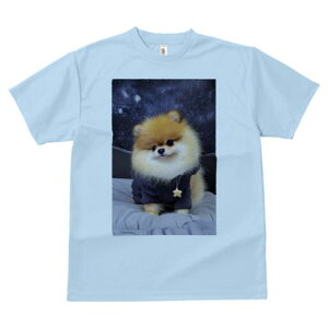 |jA TVc fB[X t@  t  vg JWA 킢 lԗp h ̃fUC ʔ  |jA  xbh F