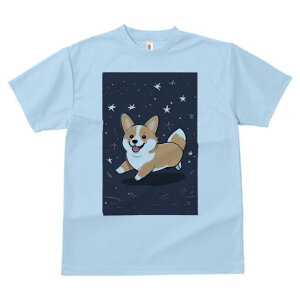 R[M[ TVc fB[X t@  t  vg JWA 킢 lԗp h ̃fUC ʔ  R[M[ 