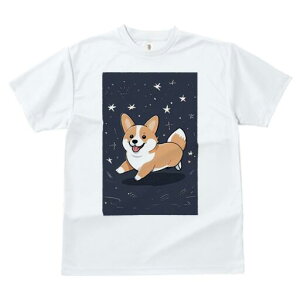 R[M[ TVc fB[X t@  t  vg JWA 킢 lԗp h ̃fUC ʔ  R[M[ 