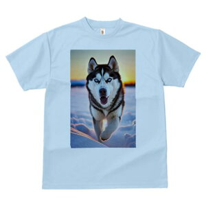 VxAnXL[ TVc fB[X t@  t  vg JWA 킢 lԗp h ̃fUC ʔ  VxAnXL[ ~ [Ă i