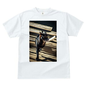 Č TVc fB[X t@  t  vg JWA 킢 lԗp h ̃fUC ʔ TOX Č