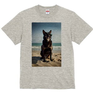 VoCk TVc fB[X t@  t  vg JWA 킢 lԗp h ̃fUC ʔ TOX VoCk r[` C