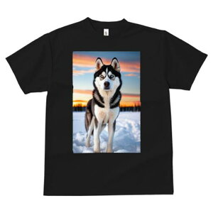 VxAnXL[ TVc fB[X t@  t  vg JWA 킢 lԗp h ̃fUC ʔ  VxAnXL[ [Ă ~ i