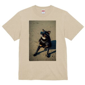 Č TVc fB[X t@  t  vg JWA 킢 lԗp h ̃fUC ʔ TOX Č l