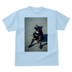 Č TVc fB[X t@  t  vg JWA 킢 lԗp h ̃fUC ʔ TOX Č l