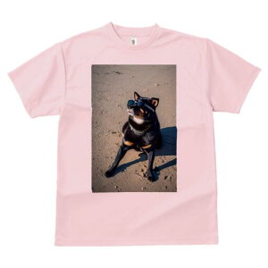 Č TVc fB[X t@  t  vg JWA 킢 lԗp h ̃fUC ʔ TOX Č l