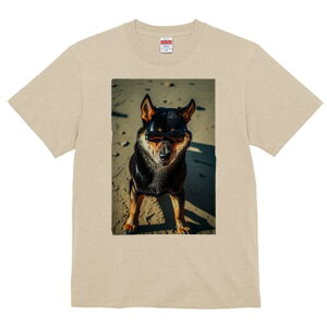 Č TVc fB[X t@  t  vg JWA 킢 lԗp h ̃fUC ʔ TOX Č l