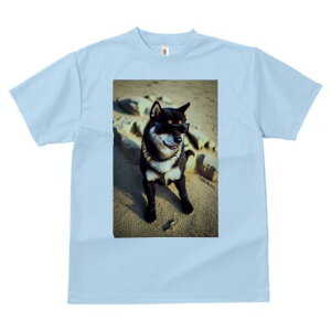 Č TVc fB[X t@  t  vg JWA 킢 lԗp h ̃fUC ʔ TOX Č l 