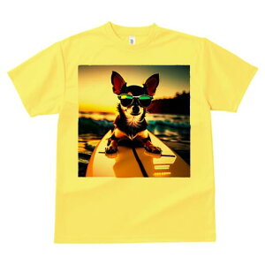 ` TVc Y LbY t@  t  vg JWA 킢 lԗp h ̃fUC ʔ T[tB ` C [Ă TOX