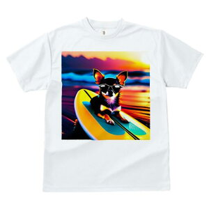 ` TVc fB[X t@  t  vg JWA 킢 lԗp h ̃fUC ʔ T[tB ` C TOX [Ă