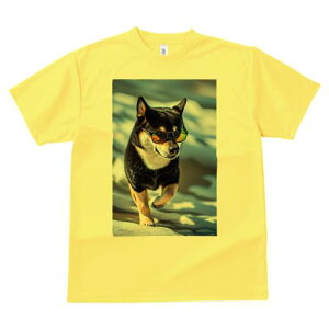 Č TVc fB[X t@  t  vg JWA 킢 lԗp h ̃fUC ʔ TOX Č