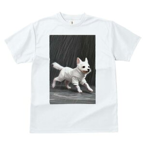 }`[Y TVc fB[X t@  t  vg JWA 킢 lԗp h ̃fUC ʔ J }`[Y CR[g