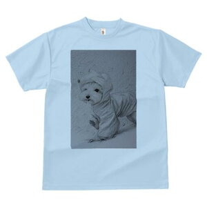 EGXgnChzCgeA TVc fB[X t@  t  vg JWA 킢 lԗp h ̃fUC ʔ CR[g EGXgnChz