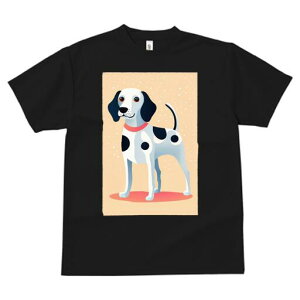 _VA TVc fB[X t@  t  vg JWA 킢 lԗp h ̃fUC ʔ ʖ͗l _VA  킢 CXg