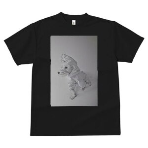 EGXgnChzCgeA TVc fB[X t@  t  vg JWA 킢 lԗp h ̃fUC ʔ CR[g EGXgnChz