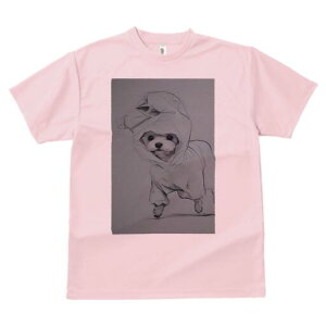 }`[Y TVc fB[X t@  t  vg JWA 킢 lԗp h ̃fUC ʔ CR[g }`[Y t[h