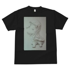 EGXgnChzCgeA TVc fB[X t@  t  vg JWA 킢 lԗp h ̃fUC ʔ CR[g EGXgnChz