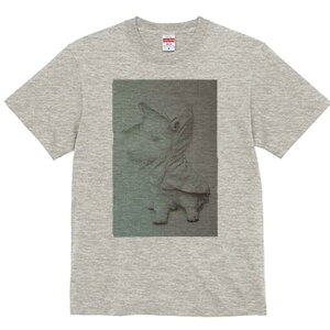 EGXgnChzCgeA TVc fB[X t@  t  vg JWA 킢 lԗp h ̃fUC ʔ CR[g EGXgnChz