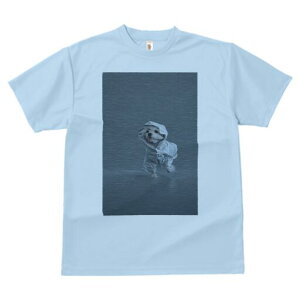 }`[Y TVc fB[X t@  t  vg JWA 킢 lԗp h ̃fUC ʔ CR[g }`[Y J