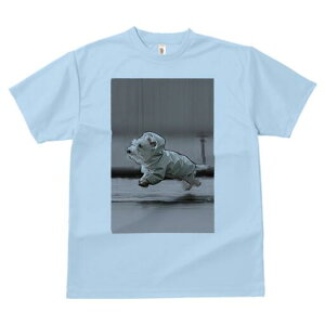 EGXgnChzCgeA TVc fB[X t@  t  vg JWA 킢 lԗp h ̃fUC ʔ CR[g EGXgnChz