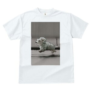 EGXgnChzCgeA TVc Y LbY t@  t  vg JWA 킢 lԗp h ̃fUC ʔ CR[g EGXgnC