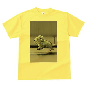 EGXgnChzCgeA TVc fB[X t@  t  vg JWA 킢 lԗp h ̃fUC ʔ CR[g EGXgnChz