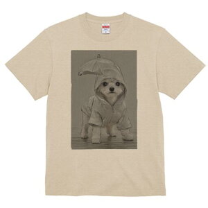 }`[Y TVc fB[X t@  t  vg JWA 킢 lԗp h ̃fUC ʔ J }`[Y CR[g P